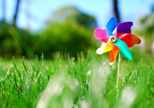 Nori_Mini Pinwheel_YkRnQg